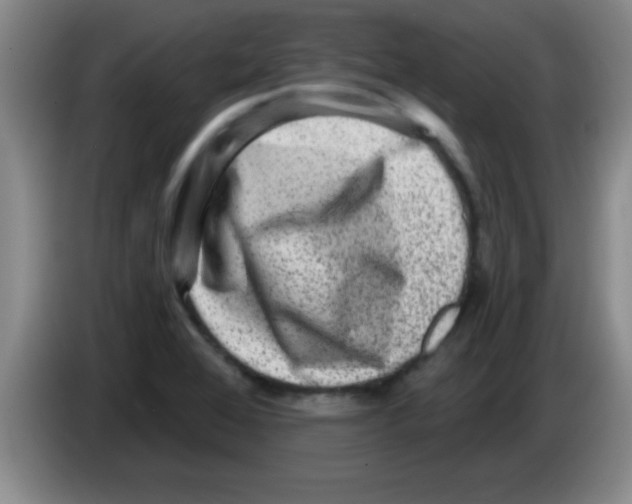 X0000083571368200703091628