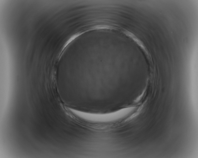 X0000083571369200703091628