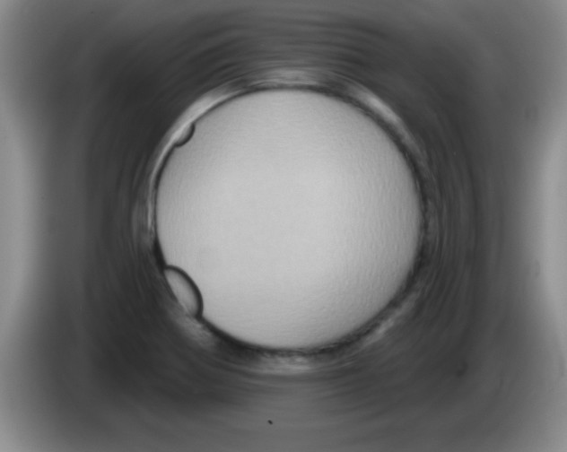 X0000083571370200703091628