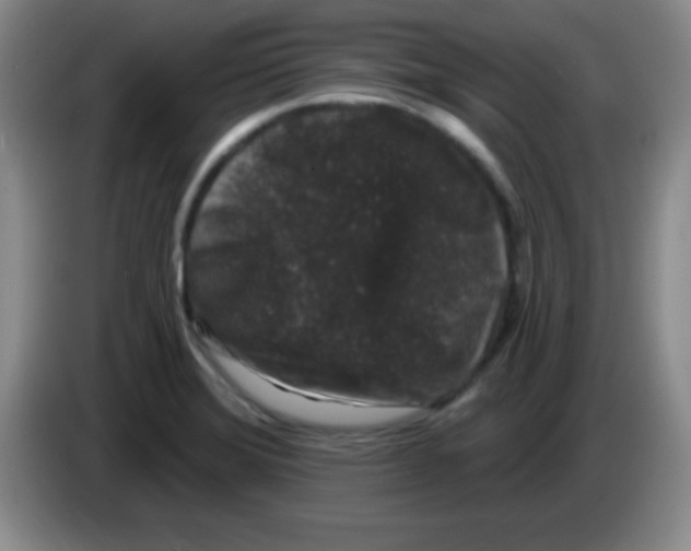 X0000083571372200703091628