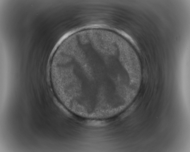 X0000083571374200703091628