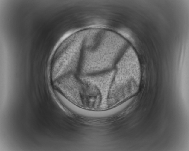 X0000083571375200703091628