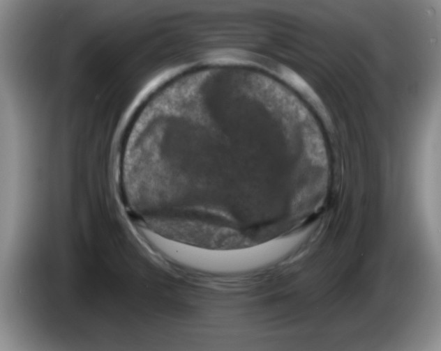 X0000083571376200703091628