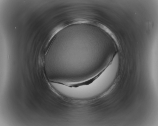 X0000083571377200703091628