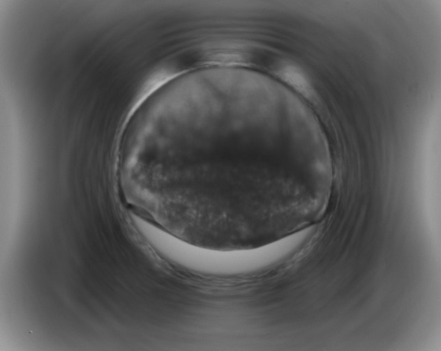X0000083571378200703091628