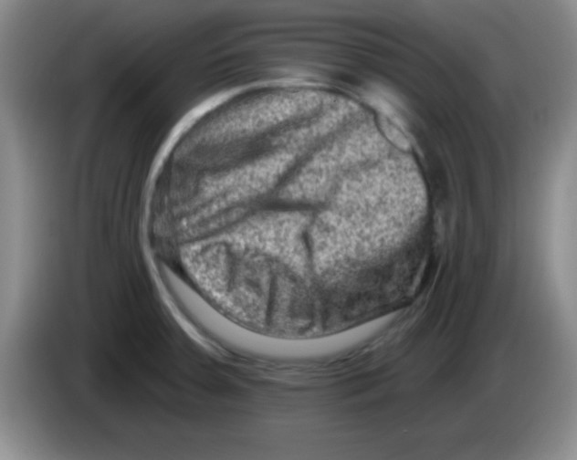 X0000083571379200703091628