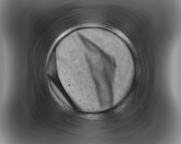 X0000083571380200703091628