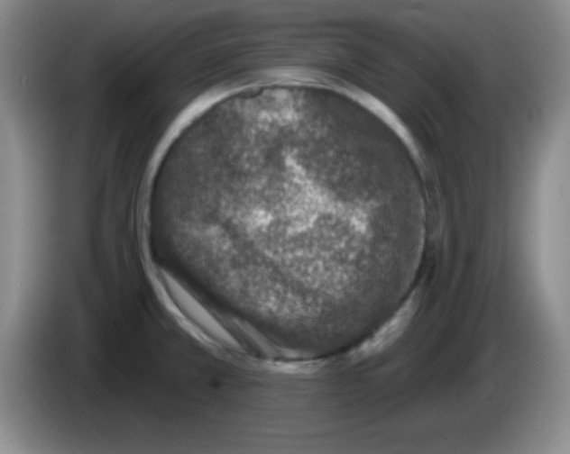 X0000083571381200703091628