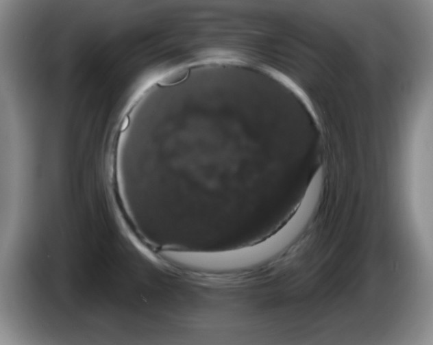 X0000083571383200703091628