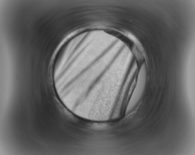 X0000083571384200703091628
