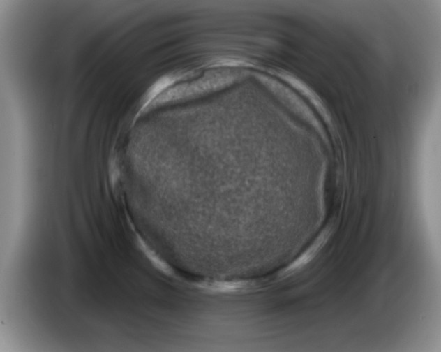 X0000083571385200703091628