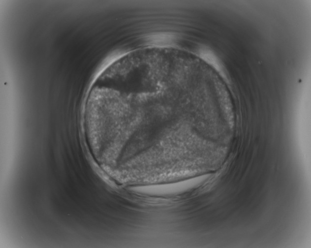 X0000083571386200703091628