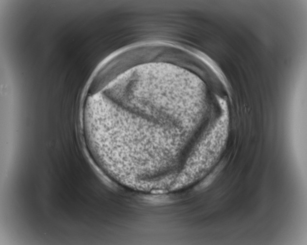X0000083571388200703091628