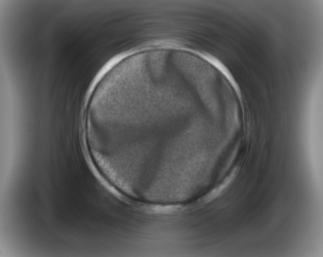 X0000083571389200703091628