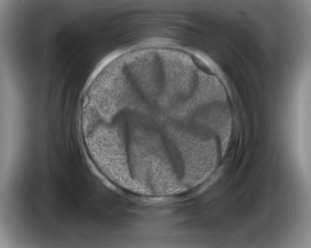 X0000083571390200703091628