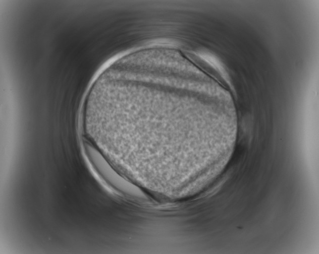 X0000083571391200703091628