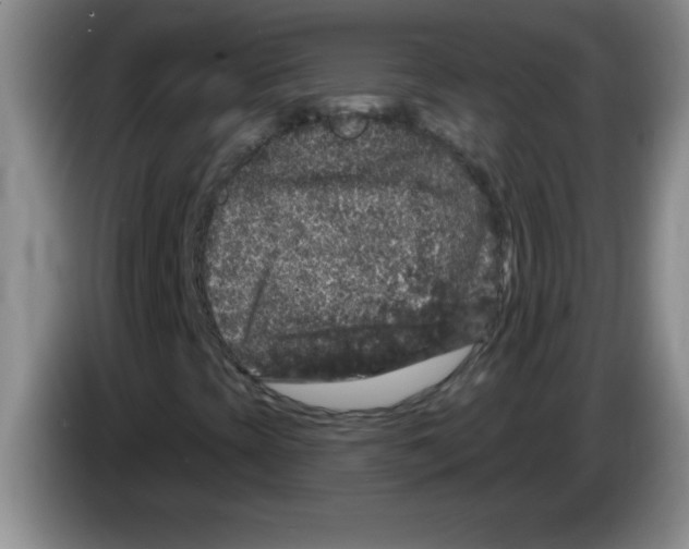X0000083571393200703091627
