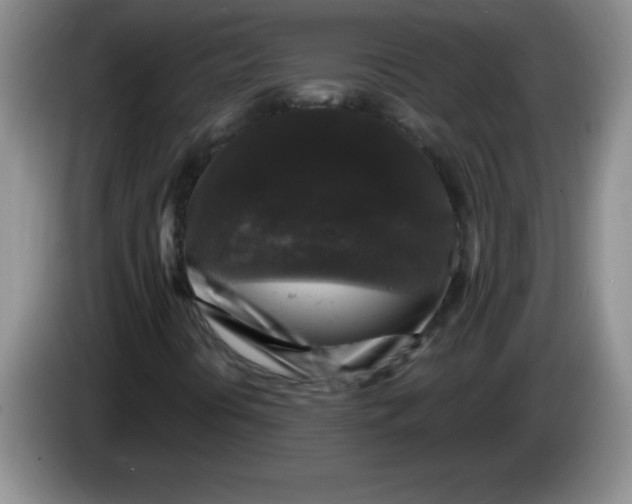 X0000083571394200703091628
