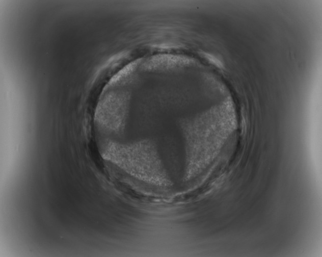 X0000083571398200703091628