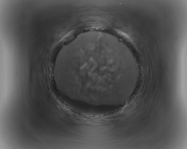 X0000083571399200703091628