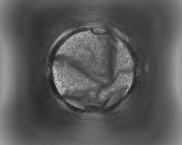 X0000083571400200703091628