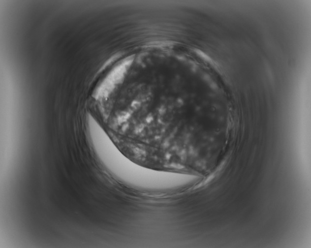 X0000083571401200703091628