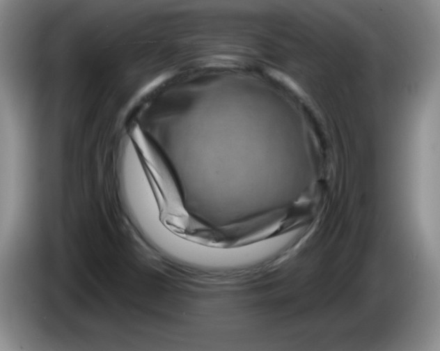 X0000083571402200703091628