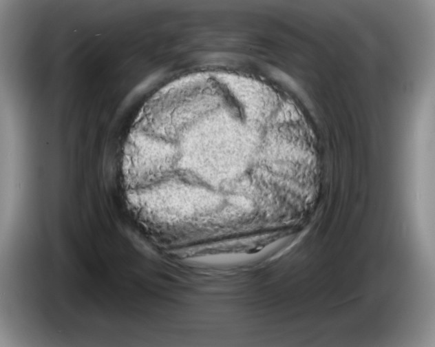 X0000083571403200703091628