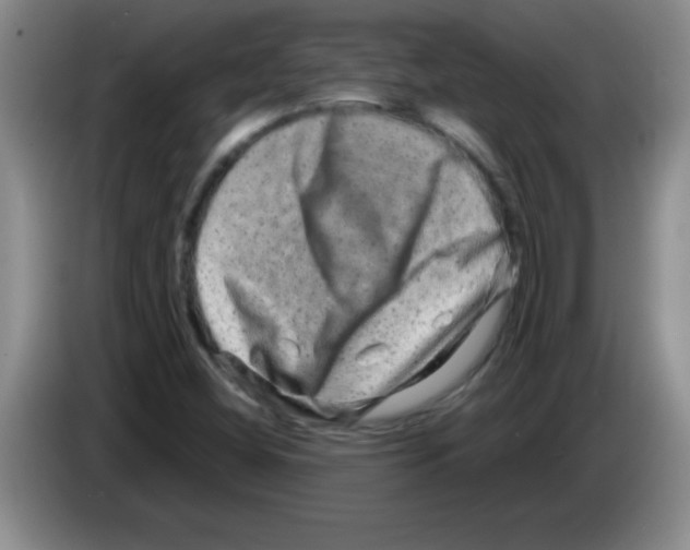 X0000083571404200703091628