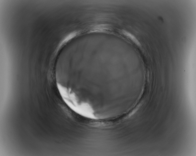 X0000083571405200703091628