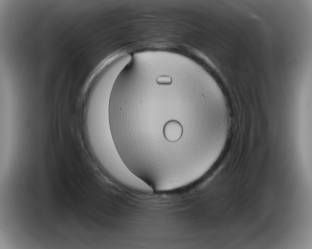 X0000083571410200703091628
