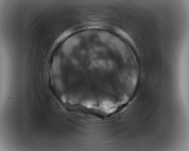 X0000083571411200703091628