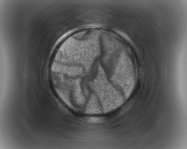 X0000083571412200703091628