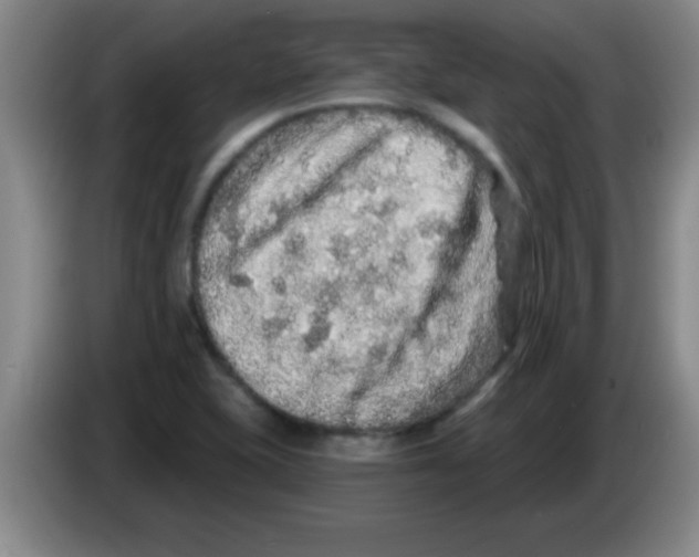 X0000083571415200703091628