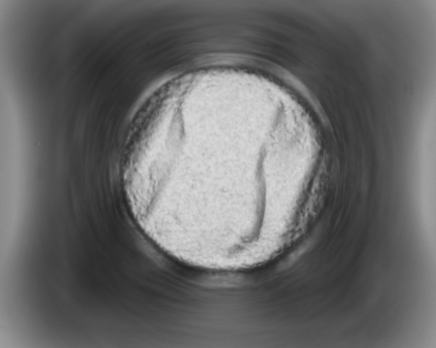 X0000083571417200703091628