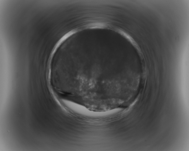 X0000083571418200703091628