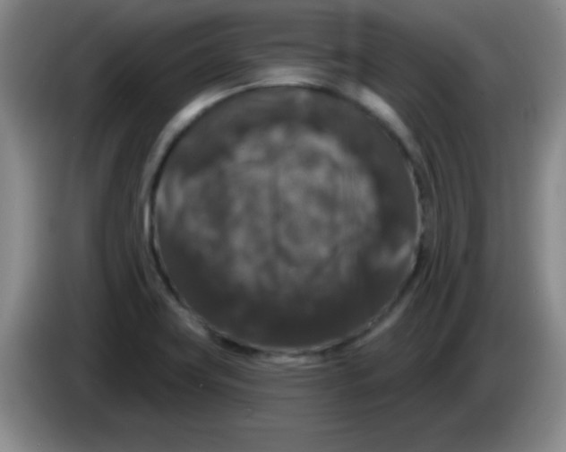 X0000083571419200703091628