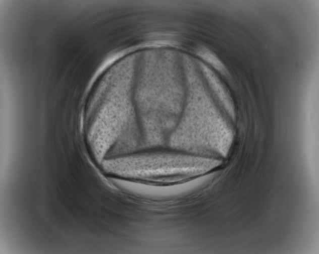 X0000083571420200703091628