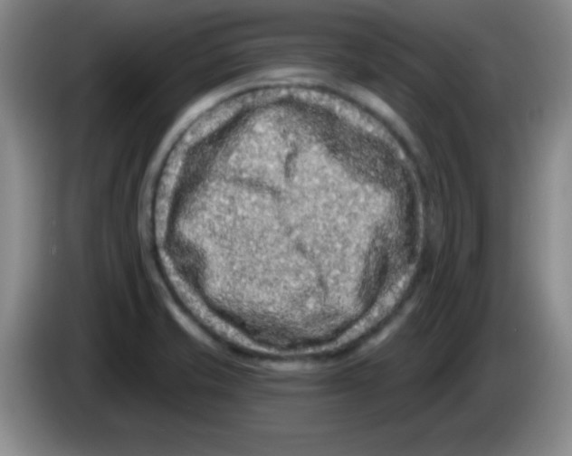 X0000083571421200703091628