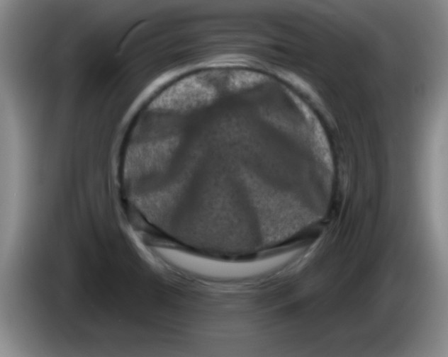 X0000083571422200703091628