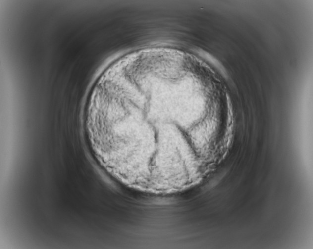 X0000083571423200703091628