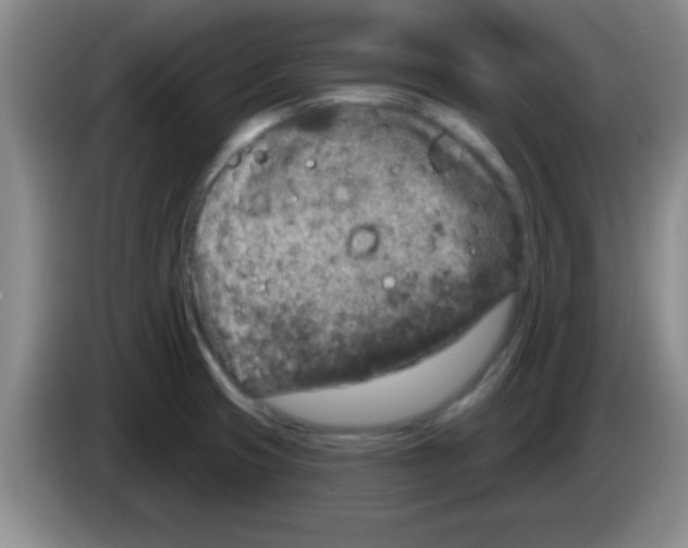 X0000083571425200703091628