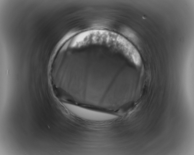 X0000083571427200703091628