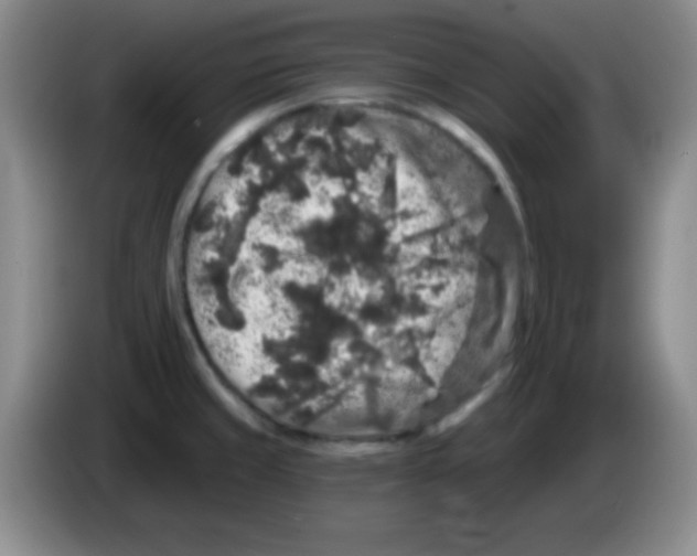 X0000083571429200703091628