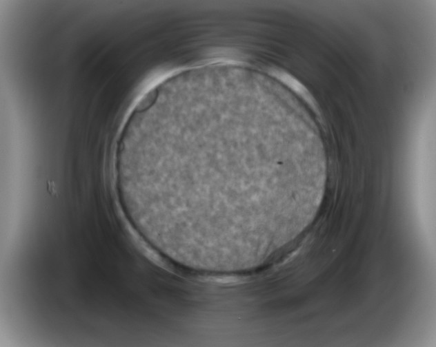 X0000083571431200703091628