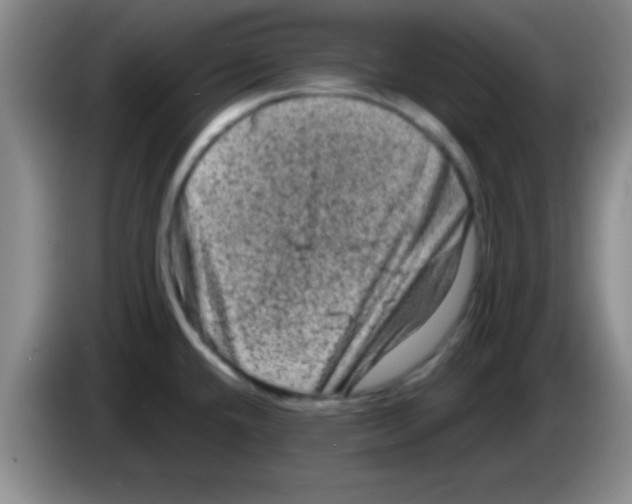 X0000083571432200703091628