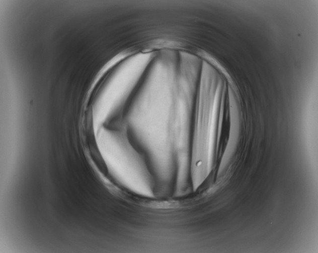 X0000083571434200703091628
