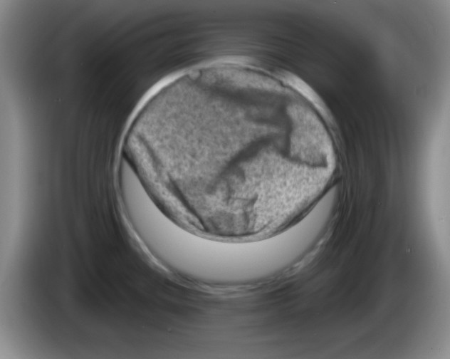 X0000083571436200703091628