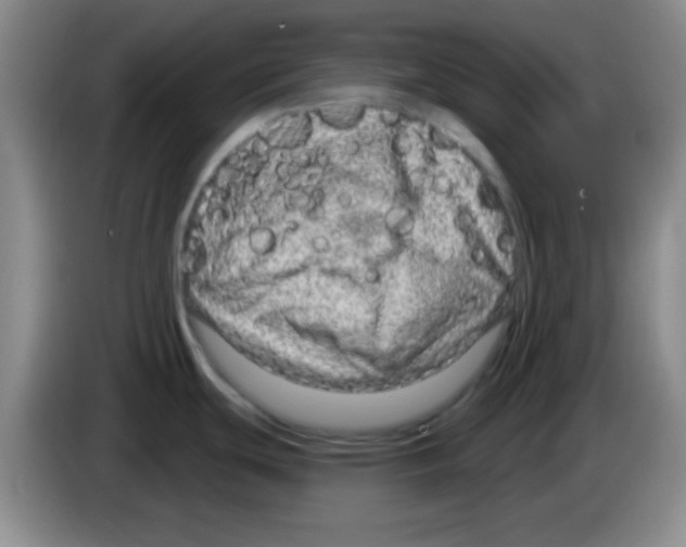 X0000083571439200703091628