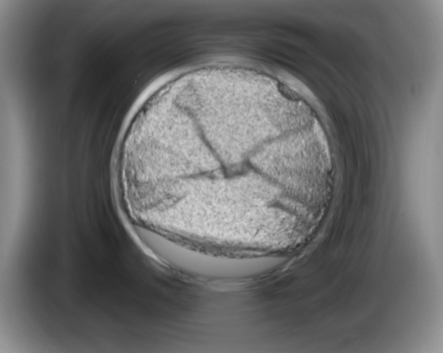 X0000083571440200703091628